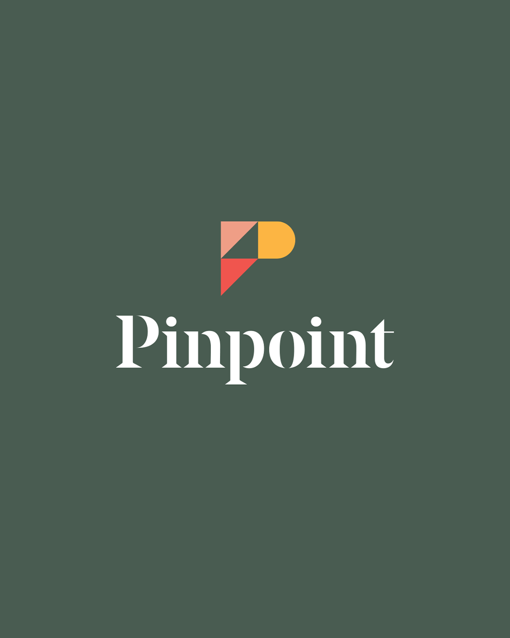 Pinpoint cover2 45