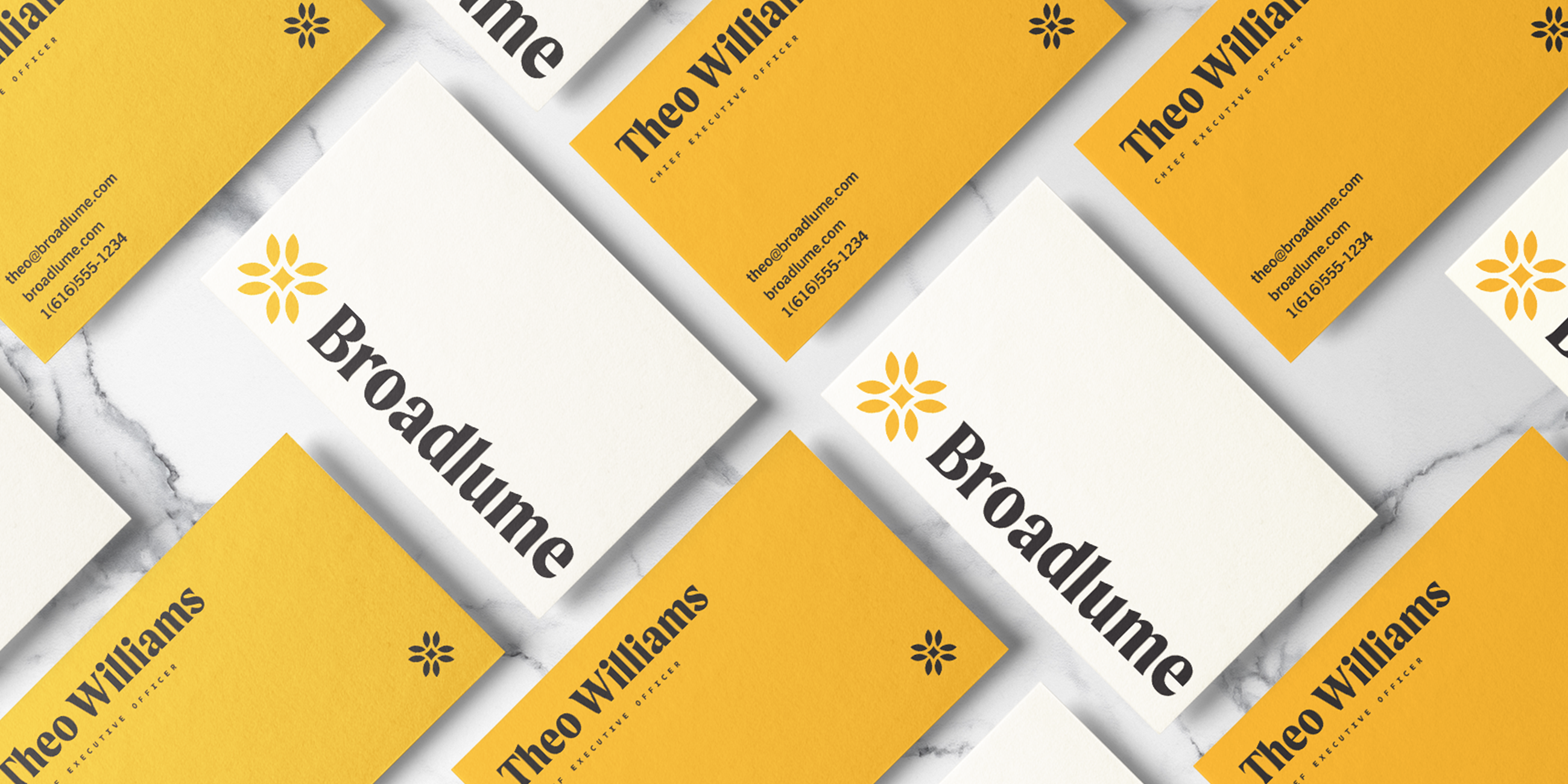 Broadlume bizcard