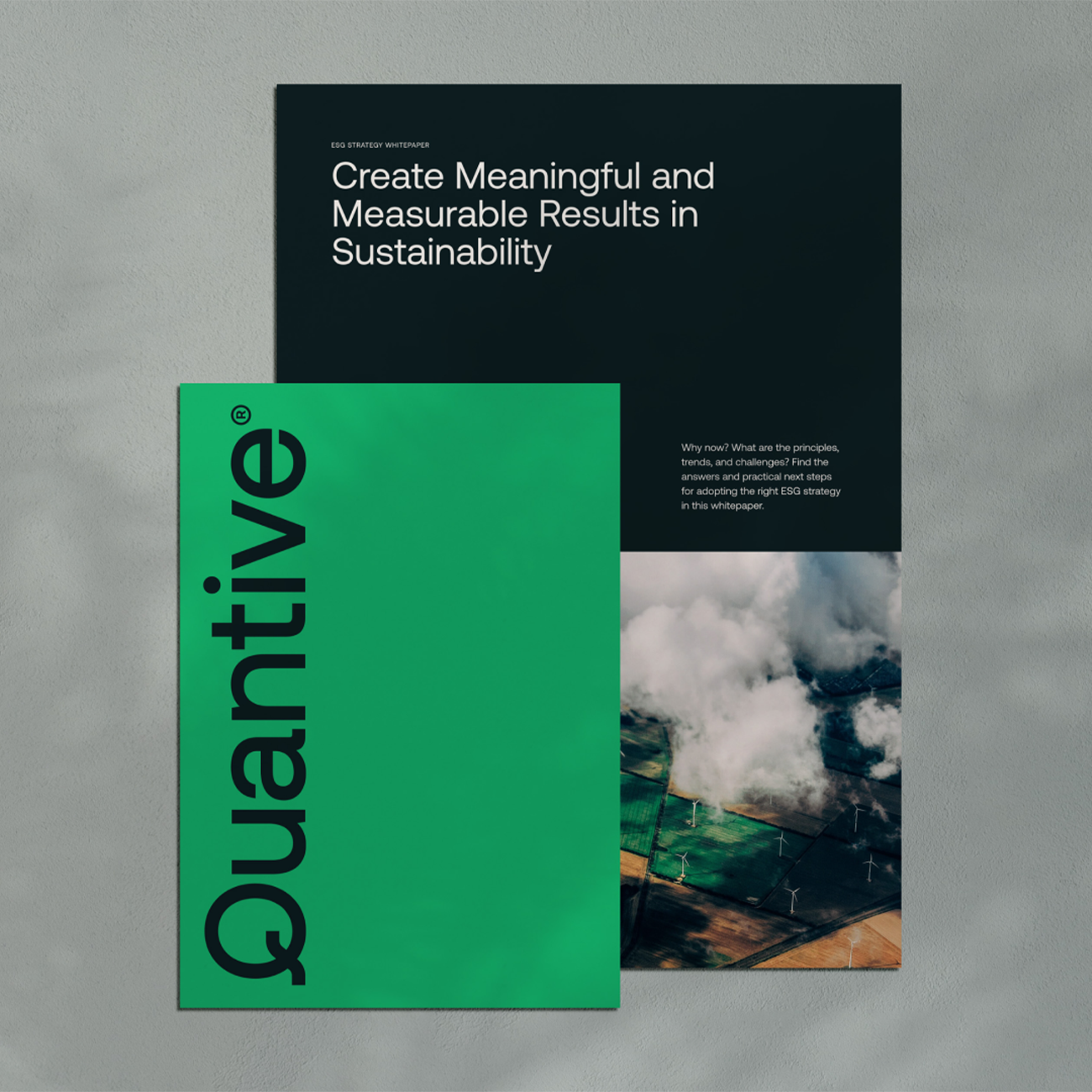 Quantive 1300 0000 Round3 mock