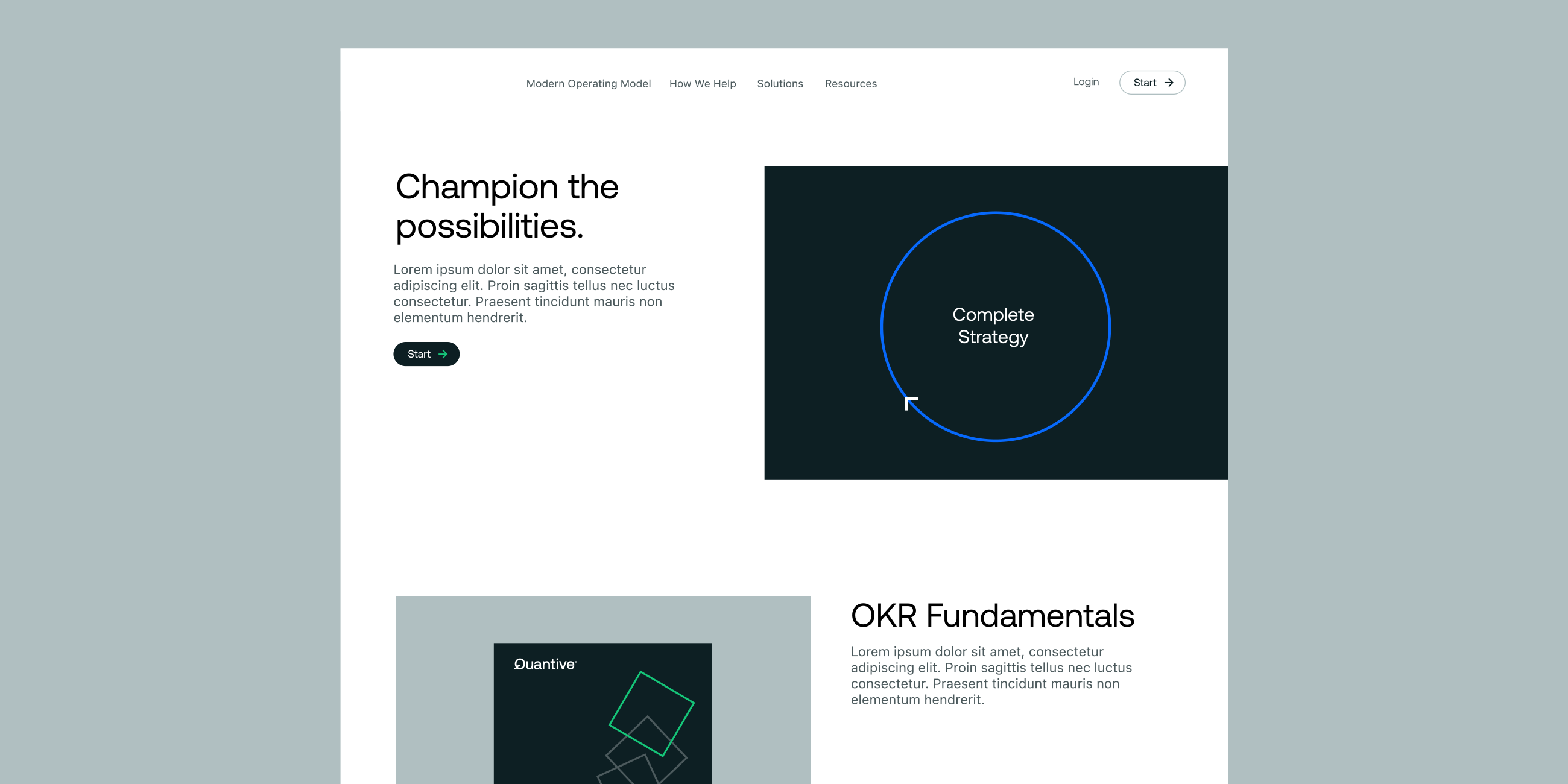 Quantive 2600 0008 web