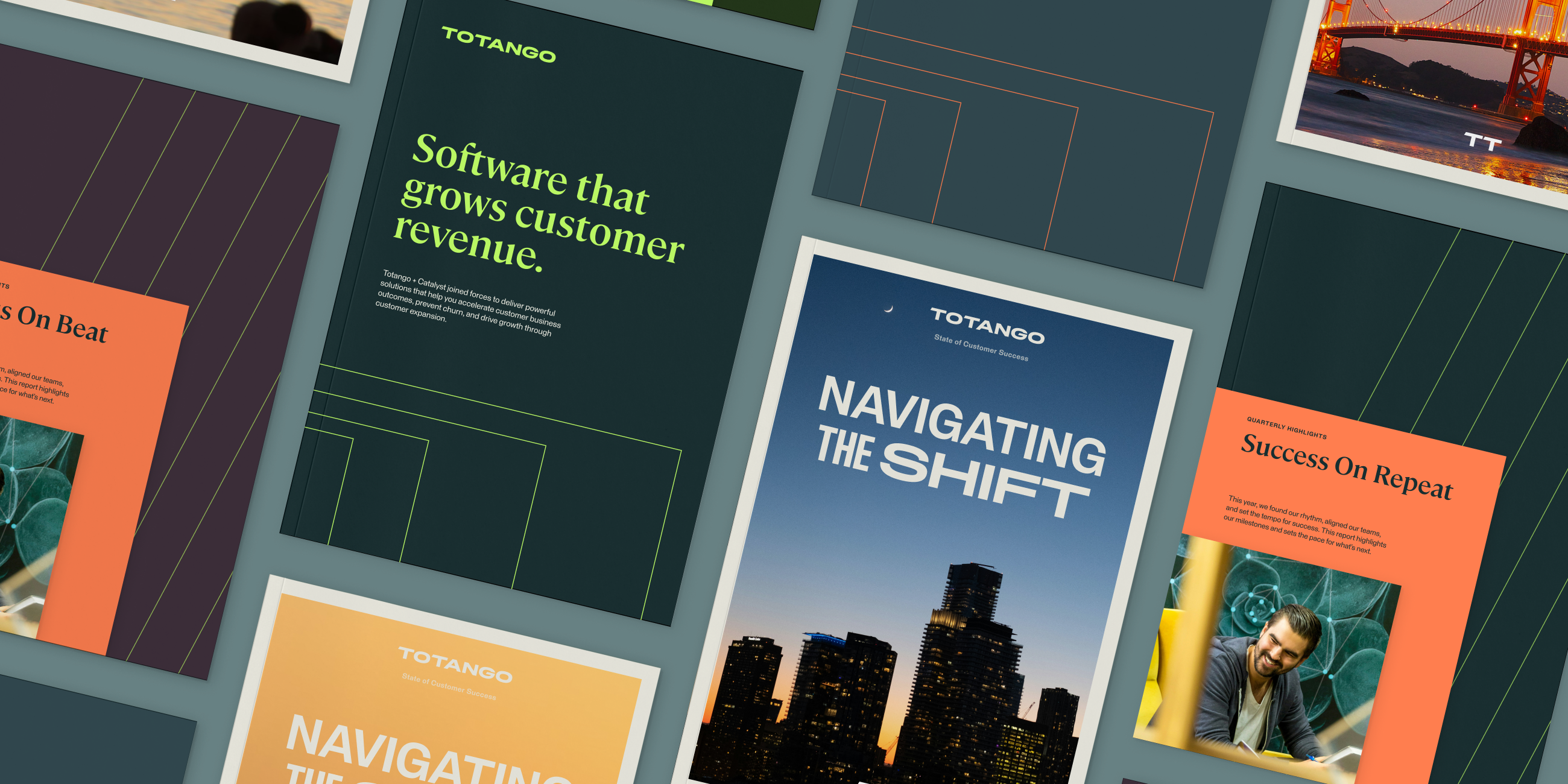 Totango Visual Language