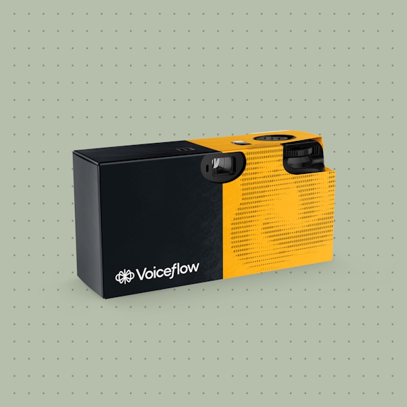 Voiceflow camera